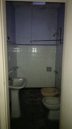 IMG_20260518_160117.jpg